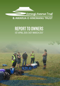 aat 2017 report to owners