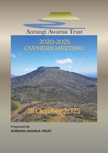 aat ownersreport 2019